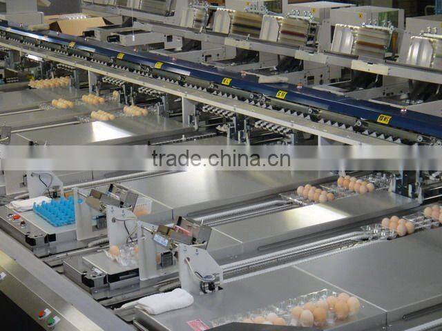 Full-Auto Egg Packing Processor