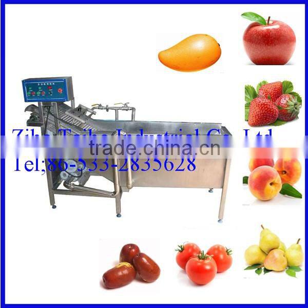 Ozone Vegetable Washer Hot sale