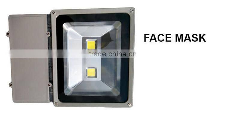 2 years New Design flood lamp 50w/100w china flood lights led