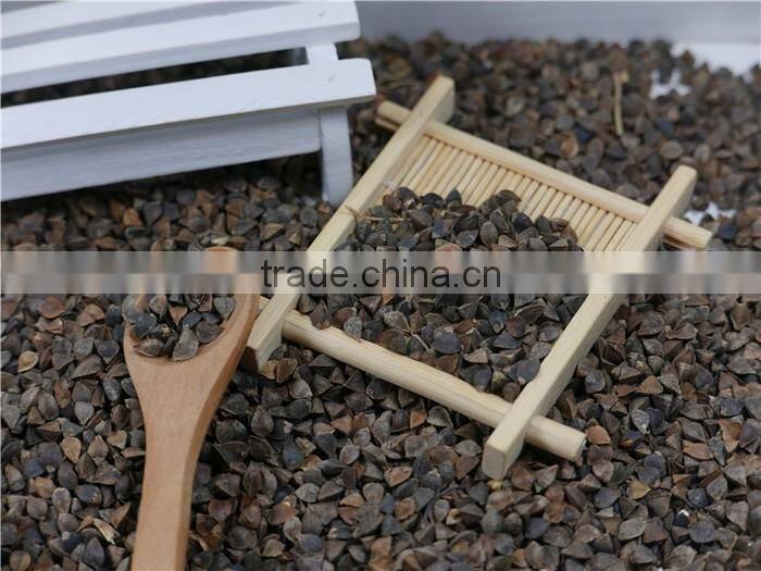 High Quality raw Buckwheat price