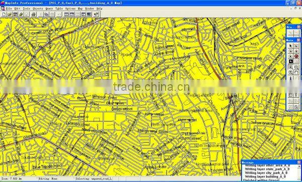 Enterprise GIS Mapping