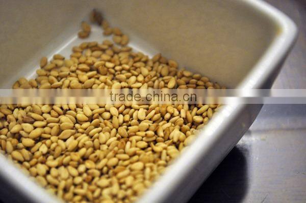 Roasted Hulled Sesame seeds