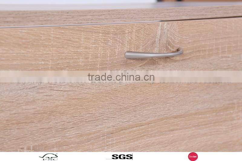 2016 modern Living Room Furniture ,2 Layer Shoe Rack / Shoe Cabinet/TYW.