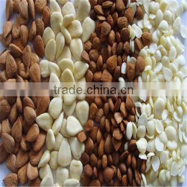 Peanut chopping machine, Almond chopping machine, Nut cutting machine