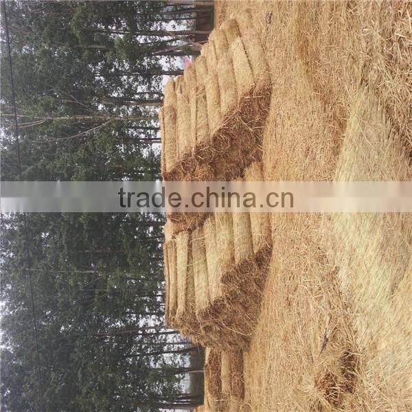 high efficiency and large stock rice straw mat knitting machine