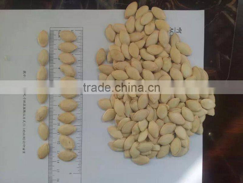 2015 Crop Inner Mongolia pumpkin seeds