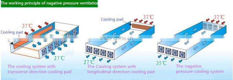 Automatic Poultry Environment Controller System