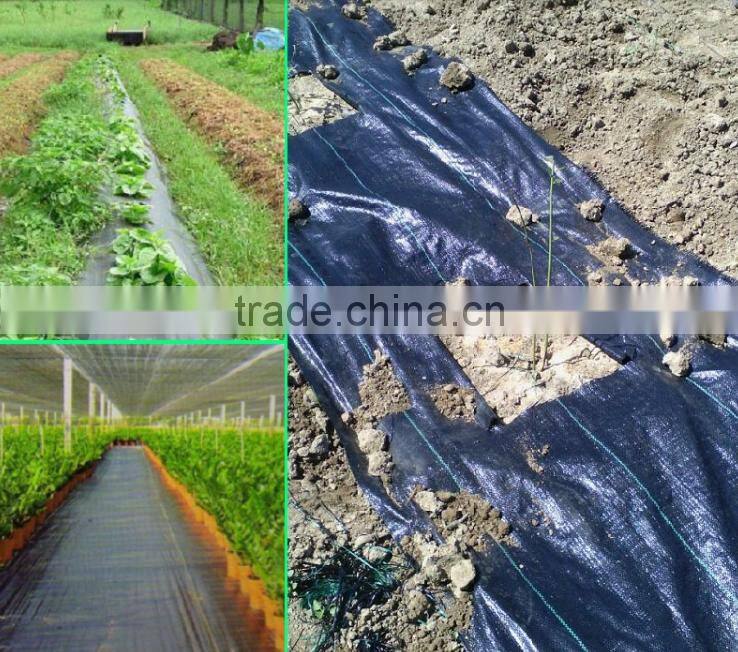 PP high quality low price woven geotextile