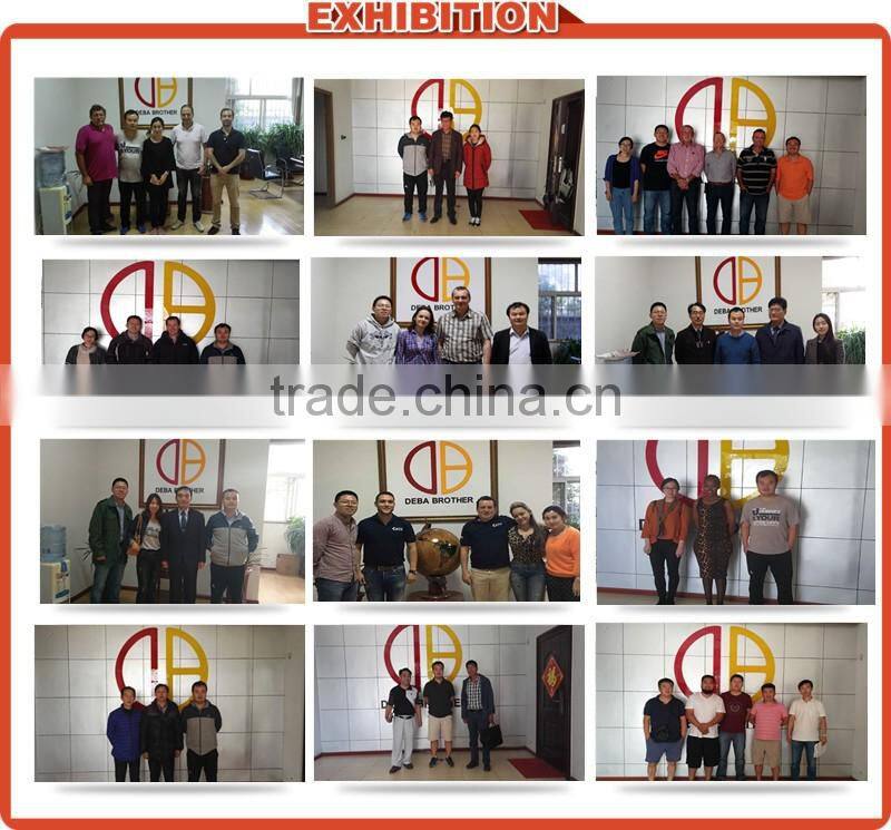 Good Quality Pig Gestation Stall Crate For Livestock Pen