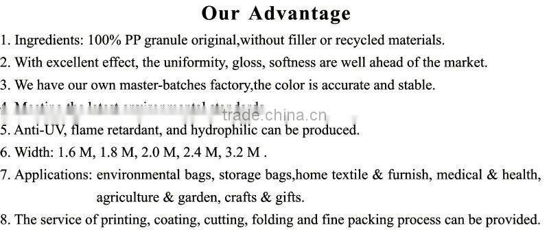 Professional Manufacturer PP Spunbond Non-woven Eco Bag Fabric