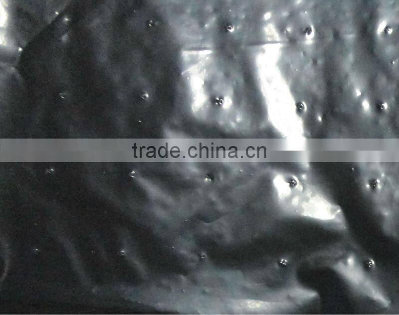 PE Agricultural Mulching Film with holes