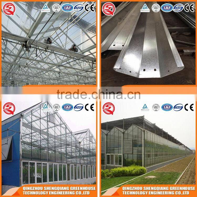Large Multi-span Glass Greenhouse-commercial greenhouses,Ecological greenhouses