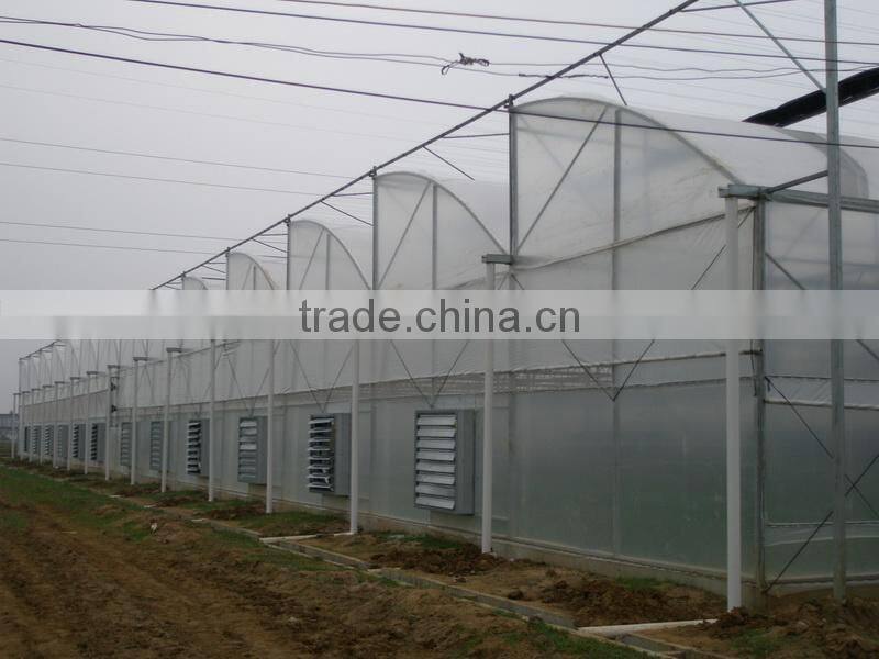 Hot dip galvanized steel structure plastic greenhouse