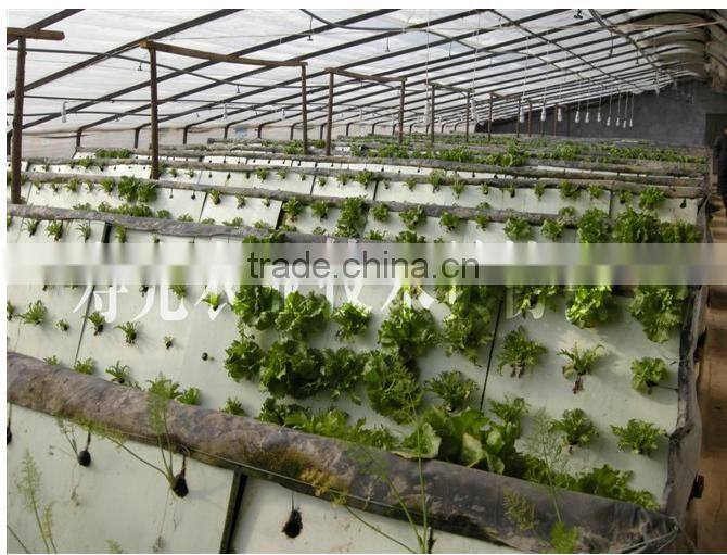 2016 Hot sale large hydroponic greenhouse