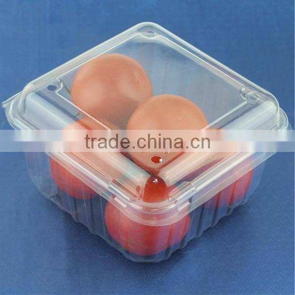 transparent eco-friendly disposable plastic food container