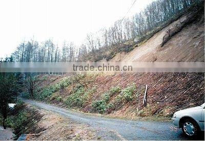 Hokkaido Iwamizawa forestland