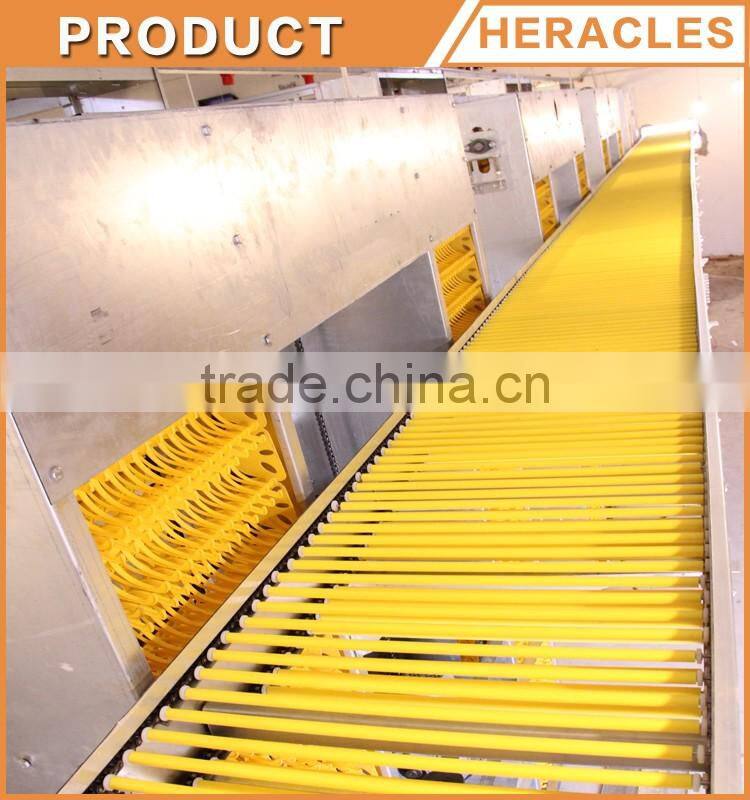 Heracles Factory price chicken layer cage- A type of poultry cage