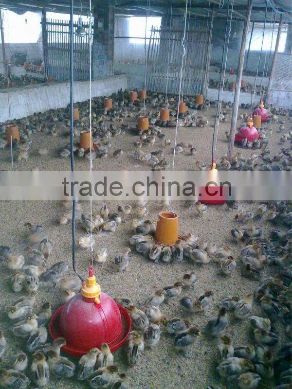Automatic bell drinker for chicken