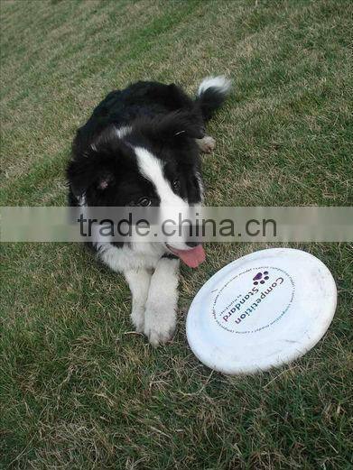 picture printing foldable frisbee
