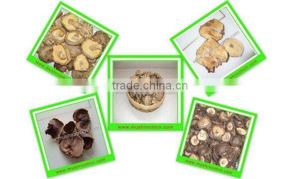 Dried Flower Shiitake