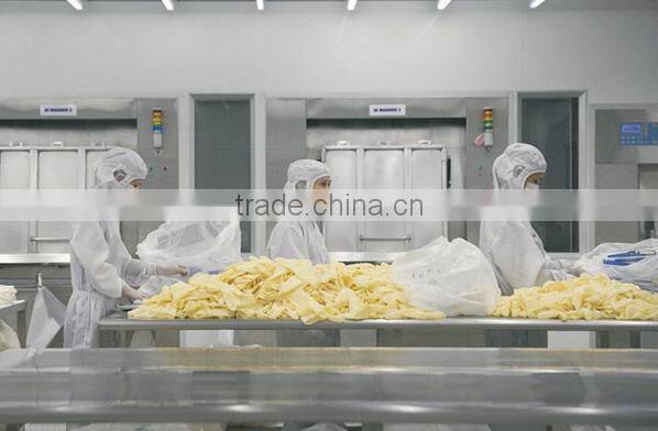 Disposable Medical Gloves Latex for examination