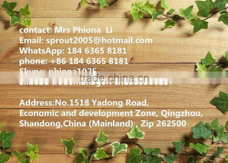 Automatic Bean Sprout Machine With CE