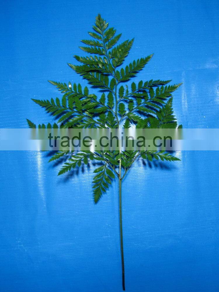 Most popular hot sale 2015 most realistic cut foliage