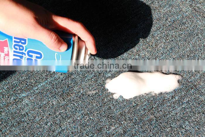 22oz Carpet Cleaner Without Vacuum