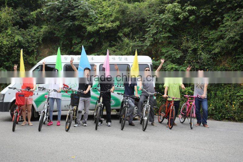 CIF final price sample electric bicycle biciletas mtb for euro and south america