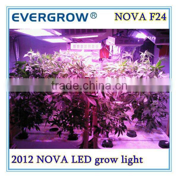 NOVA T12 LED Grow Lights with Good Performance