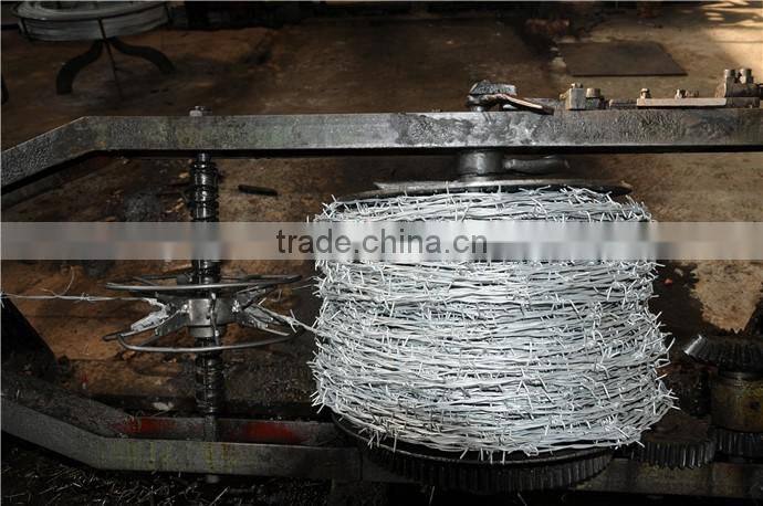 High quality 12#*12# galvanized barbed wire in China