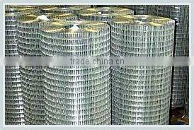 50X50mm Electro Galvanized Welded Wire Mesh Panel