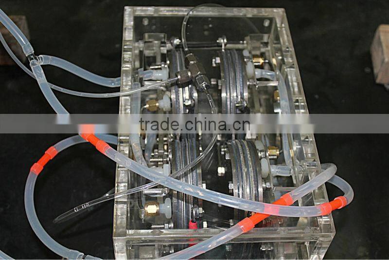 China PEM Hydrogen Gas Generators for Cars