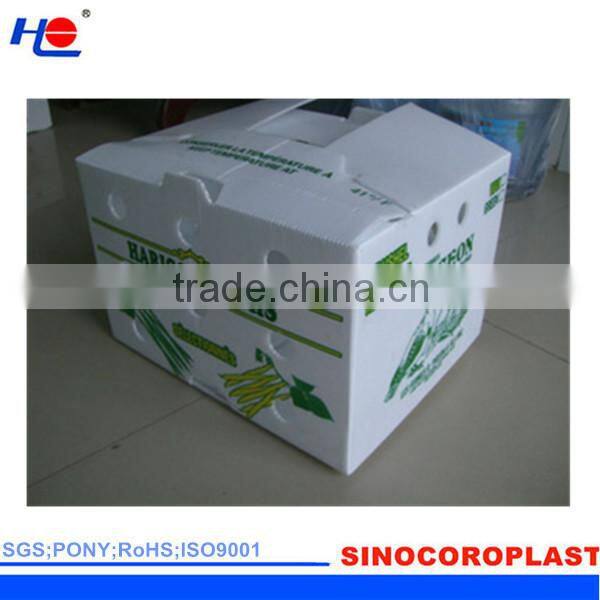 durable and construction plastic fluted polypropylene no rust carton