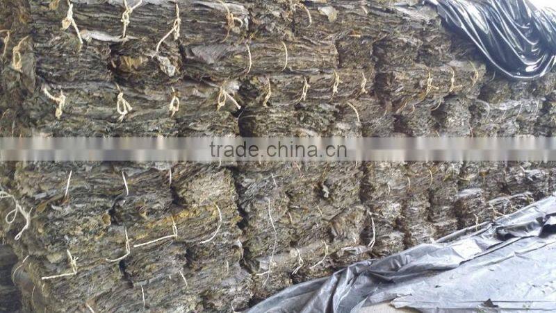 Dried kelp sheet, dried kelp board to conduct SPA treatments in beauty salons