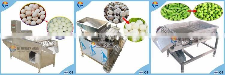 Brush Type Fish Scale Removing Scaling Remover Processing Machine