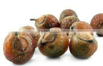 Natural Soap Nut