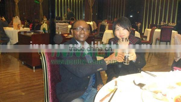 Heavy Type Welded Wire Mesh Anping County China Supplier