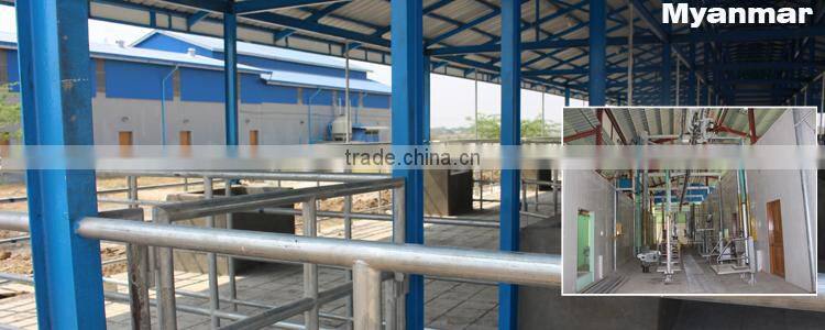 complete pig slaughter machine Pig Sliding Chute butchery equipment of pig slaughter house