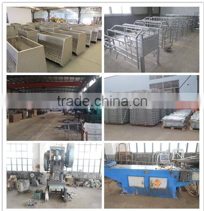 Pig Farming Equipment galvanized pig slaughter house