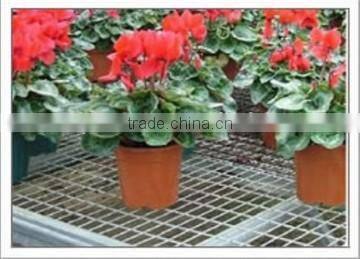 Seedbed for flower bud