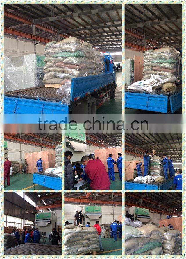 Belt Model Mung Bean Color Sorter Machine with Nikon Lens 0086 371 65866393