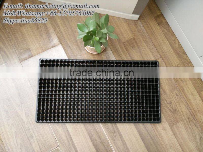 Growing Vegetable Transplants in Plug Seed Nursery Trays 8 Cell