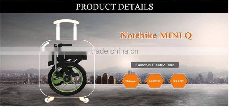 Leadway 300cc trike folding electric hoverboard scooter