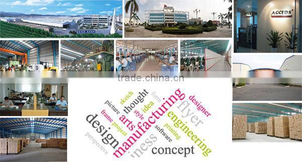 Reusable Double Wall Clear Borosilicate Glass Water Tea Coffee Cup