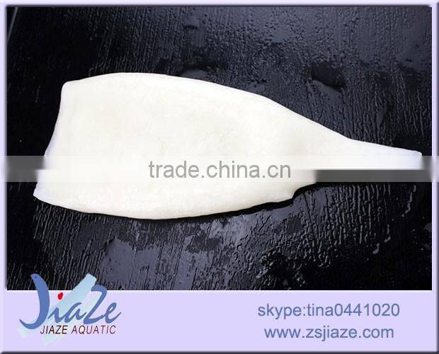 frozen Squid Tube- todarodes pacificus