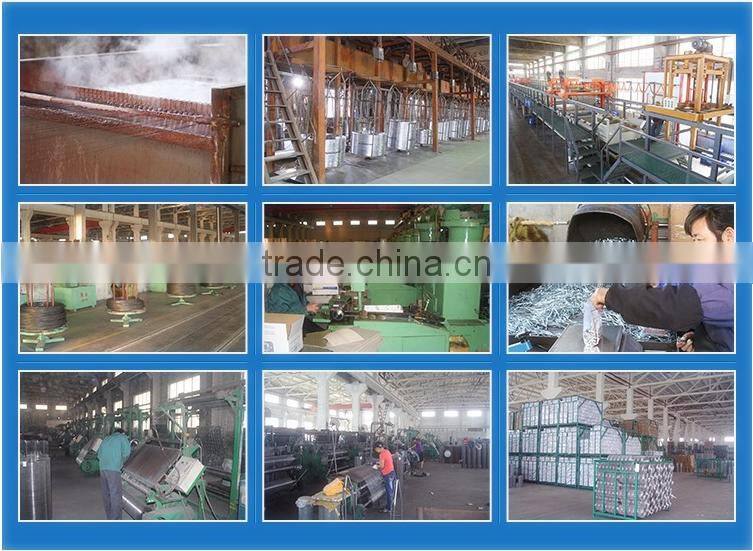 black concrete steel nails/concrete nails factory