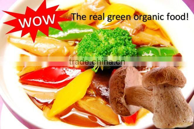 Healthy Green Natural Morel Mushroom High Quality Morel Mushroom