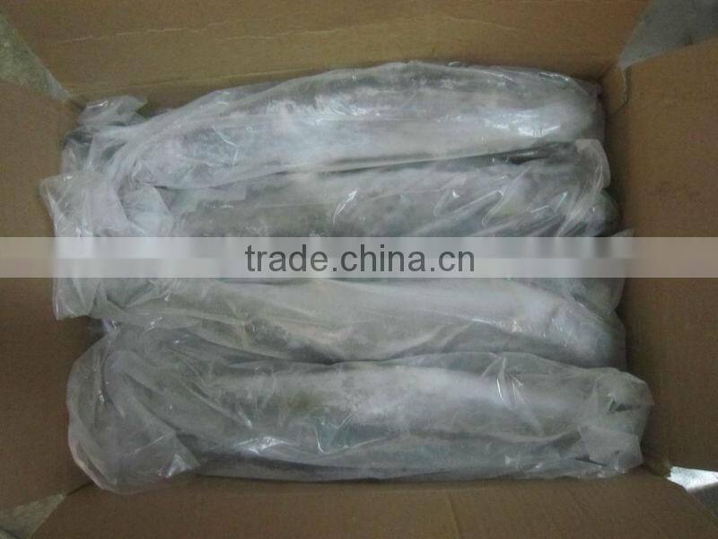 frozen spanish mackerel IQF IWP
