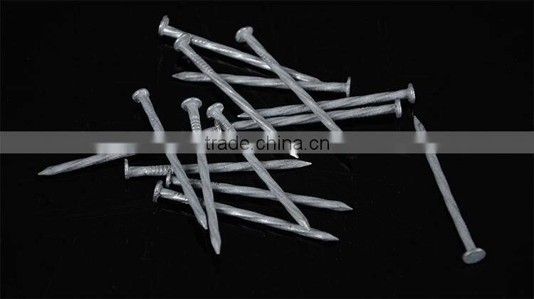 round head iron nails wire nails common nails